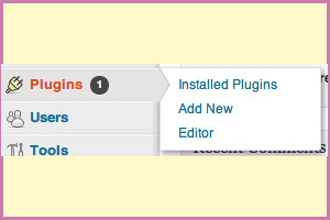 Update WordPress-plugins