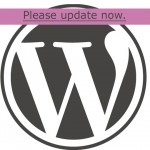 You can update your WordPress website yourself