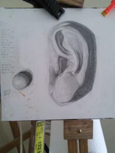 Cast drawing of Michelangelo's David's ear in graphite on 4-ply paper by Julie Holmes aspiring artist in school at Studio Incamminati in Philadelphia PA