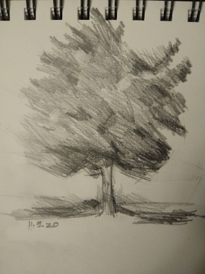 Progress drawing trees