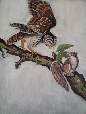 Copy of Audubon Barred Owl and Squirrel painting300