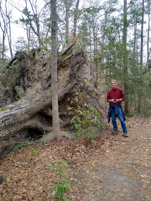 Croatan National Forest March 2021