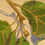 Overcup Oak Leaf Painting