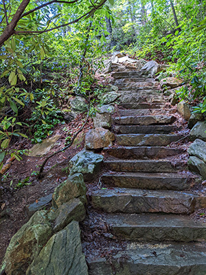 Stairs-up-from-Lower-Cascades-at-Hanging-Rock-State-Park-NC