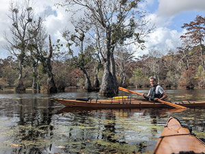 ISO-alligators-at-Merchants-Millpond-State-Park