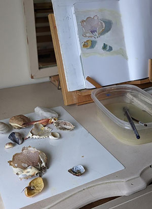 Set-up-for-Surprising-Colors-Inside-Seashells-by-Julie-Dyer-HolmesSFW