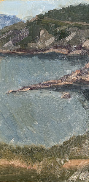 The-View-from-Meat-Cove-6x12-oil-painting-on-panel-by-Julie-Dyer-Holmes