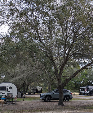 Campsite-Huntington-Beach-State-Park