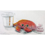 Follow Crispy the Crab Follow Crispy the Crab